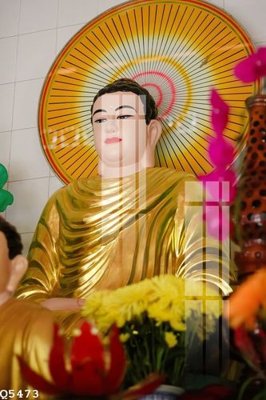 Tải file File gốc in tranh tổng hợp Q5473 (gốc) in nhanh