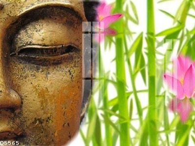 File in trần File gốc in tranh tổng hợp Q5565 (bản gốc) mây trời