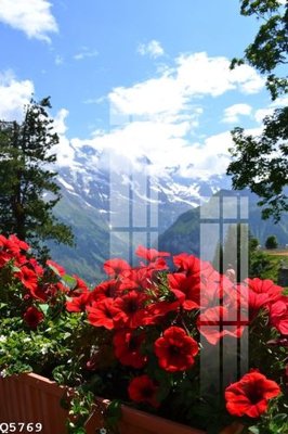 Tải file gốc File gốc in tranh tổng hợp Q5769 (để in lụa)