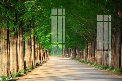 File gốc File gốc in tranh tổng hợp Q5772 (trang trí) phòng trẻ em