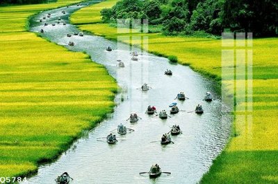 File ảnh File gốc in tranh tổng hợp Q5784 (gốc) in poster