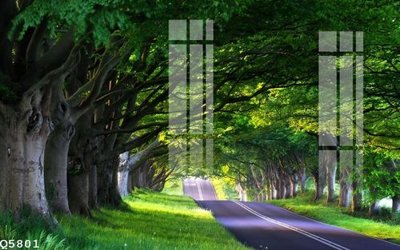 File gốc File gốc in tranh tổng hợp Q5801 (in lụa) tranh phong thủy