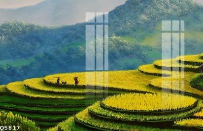 File tranh File gốc in tranh tổng hợp Q5817 (ảnh gốc) in trần nhà