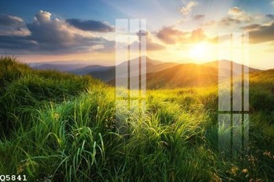 File tranh File gốc in tranh tổng hợp Q5841 (gốc) chủ đề tĩnh vật