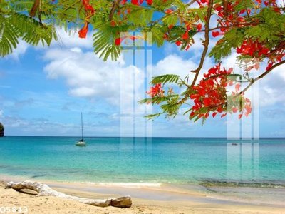 File tranh in tráng gương File gốc in tranh tổng hợp Q5843 (siêu nét)