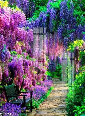 Tải về hình ảnh gốc File gốc in tranh tổng hợp Q5871 sắc nét