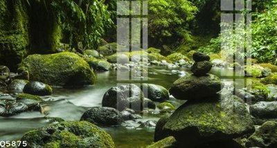 File gốc File gốc in tranh tổng hợp Q5875 (in ấn) màu sắc trung thực