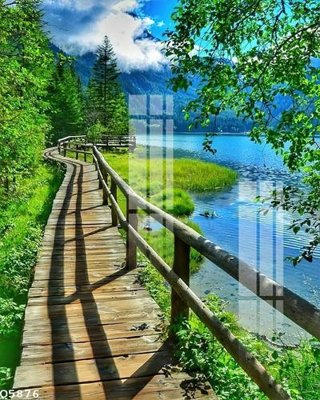 File tranh File gốc in tranh tổng hợp Q5876 (gốc) chủ đề tĩnh vật