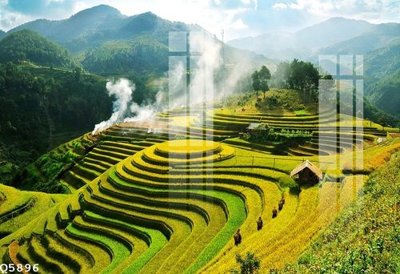 File gốc File gốc in tranh tổng hợp Q5896 (ảnh chi tiết) để in ấn