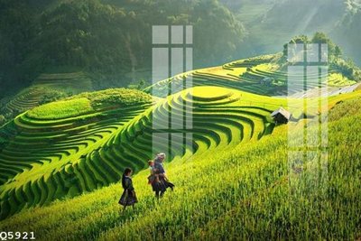 File ảnh File gốc in tranh tổng hợp Q5921 (gốc) in poster