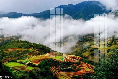 Tải xuống file tranh gốc File gốc in tranh tổng hợp Q5925 (PSD/TIFF)