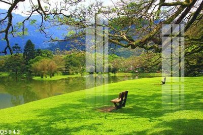 Tải về hình ảnh gốc File gốc in tranh tổng hợp Q5942 sắc nét