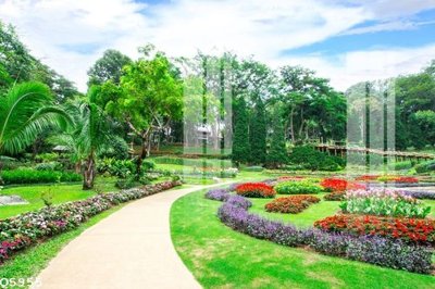 File ảnh File gốc in tranh tổng hợp Q5955 (gốc) in decal dán tường