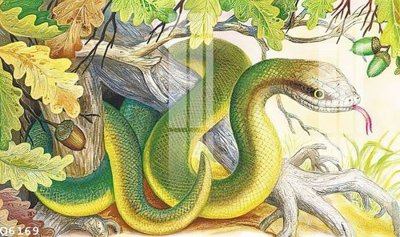 File in mica File gốc in tranh tổng hợp Q6169 (bản gốc) sắc sảo