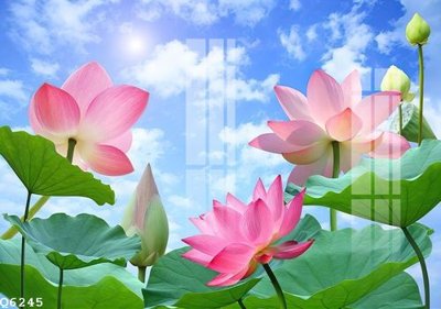 File gốc File gốc in tranh tổng hợp Q6245 (PNG) không nền chất lượng