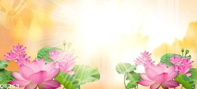 Tải file gốc File gốc in tranh tổng hợp Q6269 (bản PSD) gốc