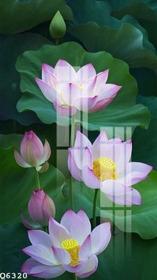 File tranh File gốc in tranh tổng hợp Q6320 (ảnh gốc) chi tiết rõ ràng