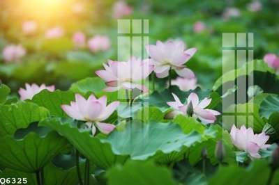 Tệp tin gốc File gốc in tranh tổng hợp Q6325 (dùng cho in ấn) chuyên nghiệp