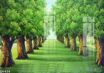 File tranh File gốc in tranh tổng hợp Q6428 (gốc) chủ đề động vật