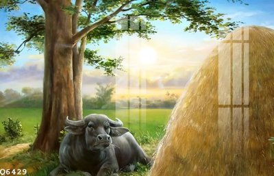 File in trần File gốc in tranh tổng hợp Q6429 (bản gốc) trời sao