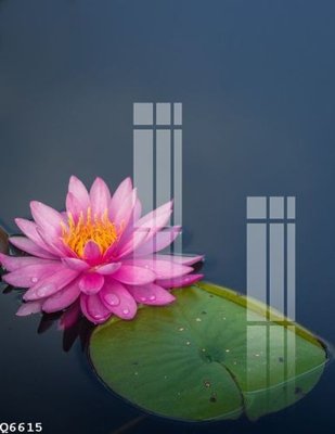 File gốc File gốc in tranh tổng hợp Q6615 (PNG) trong suốt (transparent)