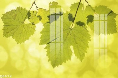 Hình ảnh file gốc in lụa File gốc in tranh tổng hợp Q6672