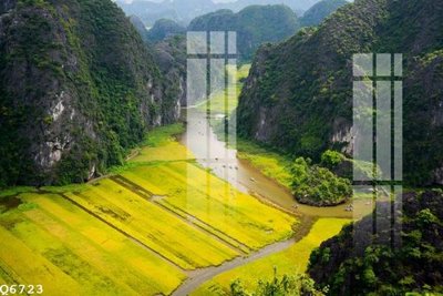 File in mica File gốc in tranh tổng hợp Q6723 (bản gốc) làm vách ngăn