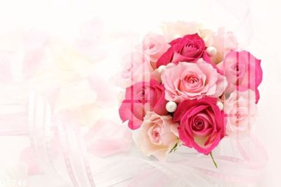 File in lụa File gốc in tranh tổng hợp Q6746 (chất lượng cao) File gốc in tranh tổng hợp Q6746