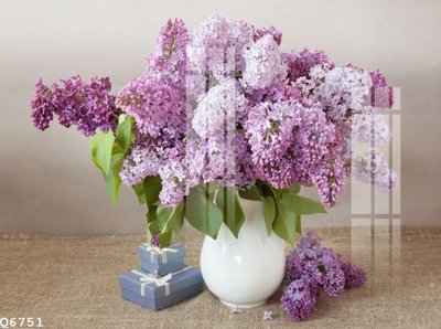 File in trần File gốc in tranh tổng hợp Q6751 (bản gốc) hoa văn