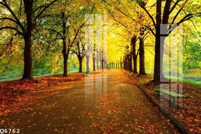 File in trần File gốc in tranh tổng hợp Q6762 (bản gốc) đại dương