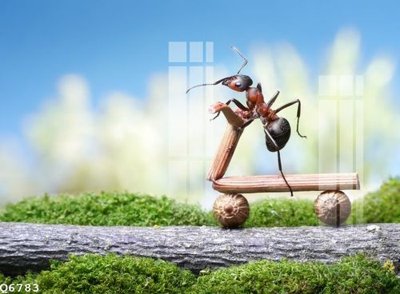 Tải file File gốc in tranh tổng hợp Q6783 (gốc) in ấn chất lượng