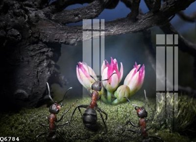 File tranh quảng cáo File gốc in tranh tổng hợp Q6784 (file gốc) chuyên nghiệp