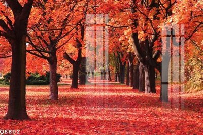 Tải về file gốc File gốc in tranh tổng hợp Q6802 (chuẩn in ấn)