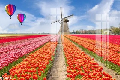 File tranh File gốc in tranh tổng hợp Q6804 (gốc) in trên kính