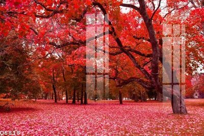 Tải file File gốc in tranh tổng hợp Q6818 (gốc) chủ đề phong thủy