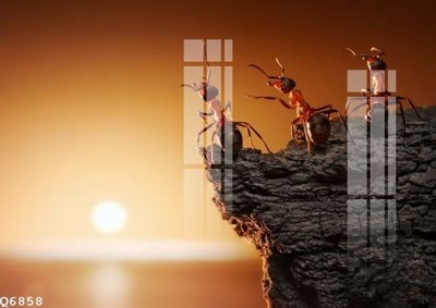 File tranh File gốc in tranh tổng hợp Q6858 (gốc) phong cách tối giản