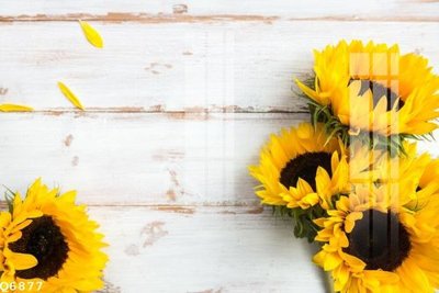 Tải file File gốc in tranh tổng hợp Q6877 (gốc) in trên mọi chất liệu