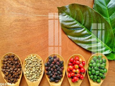 File in trần File gốc in tranh tổng hợp Q6897 (bản gốc) bầu trời