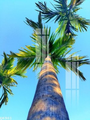 Chi tiết file tranh tráng gương File gốc in tranh tổng hợp Q6901 (ảnh gốc)