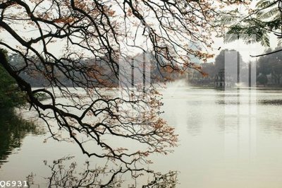 File tranh File gốc in tranh tổng hợp Q6931 (gốc) in backlit film