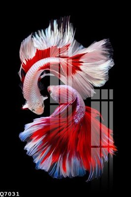 File ảnh gốc File gốc in tranh tổng hợp Q7031 không vỡ nét