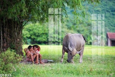 File tranh File gốc in tranh tổng hợp Q7033 (bản gốc) treo quán cafe