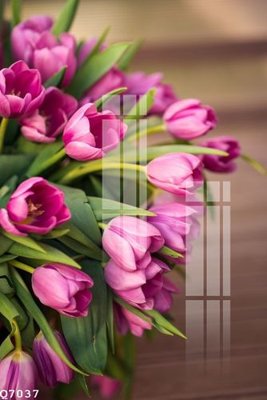 File tranh in mica File gốc in tranh tổng hợp Q7037 (độ phân giải cao)