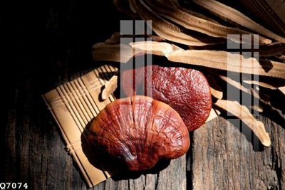 File tranh File gốc in tranh tổng hợp Q7074 (bản gốc) in canvas