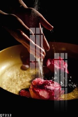 Tải file File gốc in tranh tổng hợp Q7212 (gốc) chủ đề hoa sen