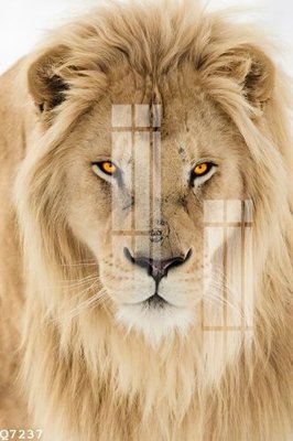 File gốc File gốc in tranh tổng hợp Q7237 (dành cho quảng cáo)