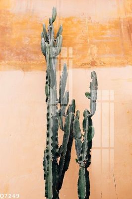 File gốc in ấn File gốc in tranh tổng hợp Q7249 độ phân giải cao