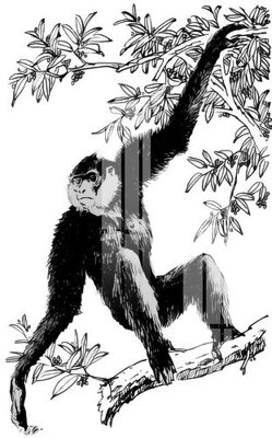 Tệp tin gốc File gốc in tranh tổng hợp Q7271 (dùng cho in) File gốc in tranh tổng hợp Q7271