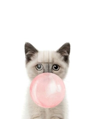 Download file tranh PSD File gốc in tranh tổng hợp Q7447 để chỉnh sửa