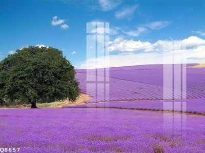 File tranh File gốc in tranh tổng hợp Q8657 (ảnh gốc) cho in ấn kỹ thuật số